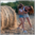 Cowgirls belly punching catfight – Sabrina vs Tess – FULL HD